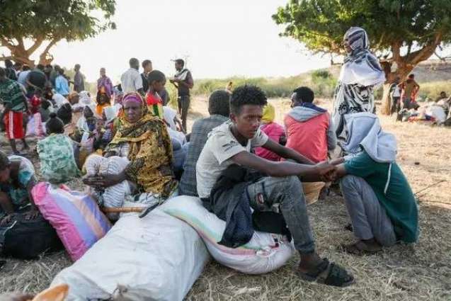 UN Food Agency About to Halt Assistance to Northern Ethiopia Due to Heavy Fighting