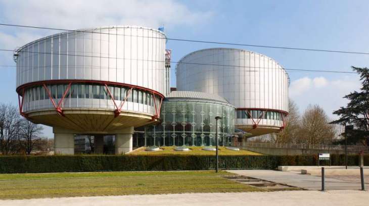 Russian Envoy to ECHR Says No Evidence of Transfer of Arms From Russia to Donbas