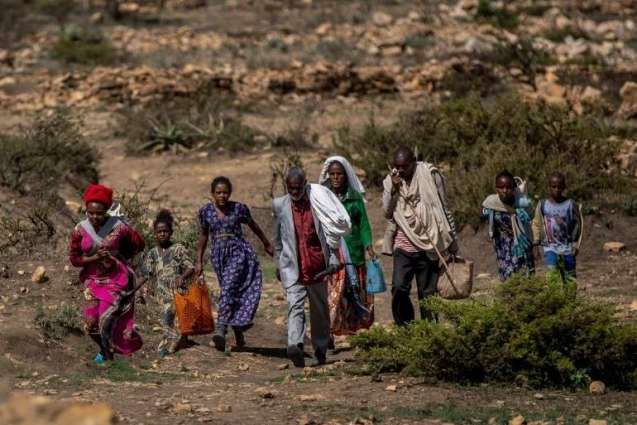 UN Agency Warns Over 80% of Residents in Ethiopia's Tigray Region 'Food Insecure'