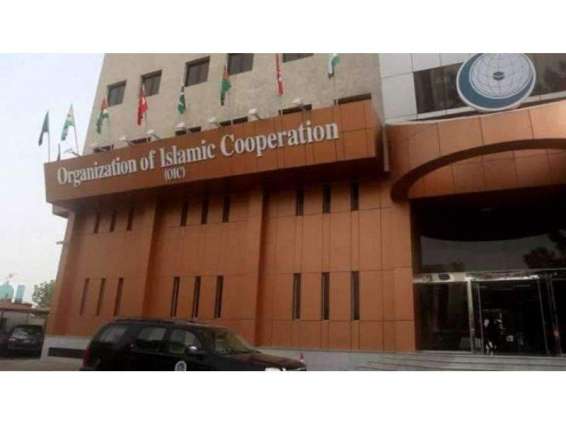 OIC General Secretariat Lauds COMSTECH for Sending a Medical Team to Niger