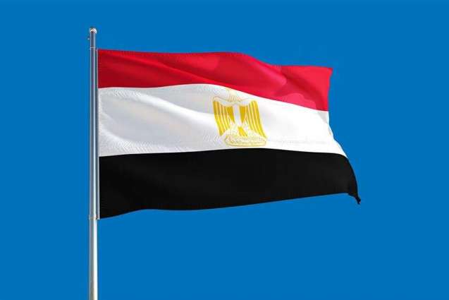 Egyptian National Detained Following Unscheduled Plane Landing in Luxor - Watchdog