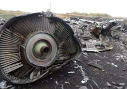 Top Dutch Diplomat Meets With MH17 Plane Crash Investigators in Ukraine