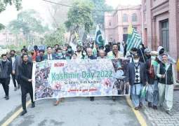 Kashmir Solidarity Day observed at UVAS