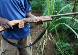 One Person Dead, 16 Others Injured in Ethnic Clash in Papua New Guinea - Reports