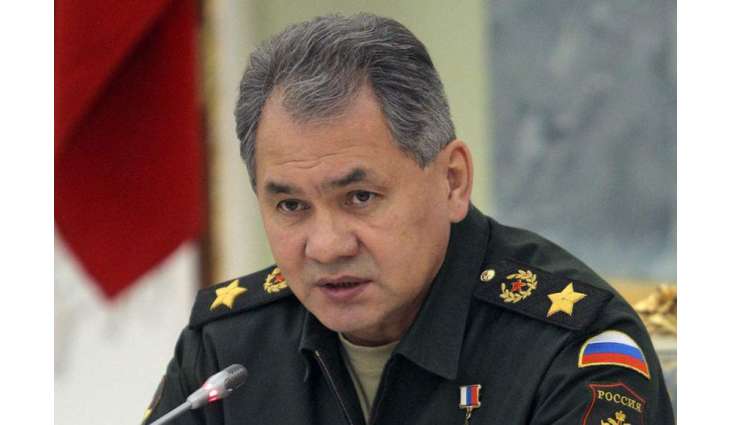 Level of Russian-UK Relations Close to Zero - Shoigu