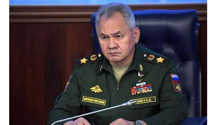 Wallace, Shoigu Agree on Importance of Minsk Agreements
