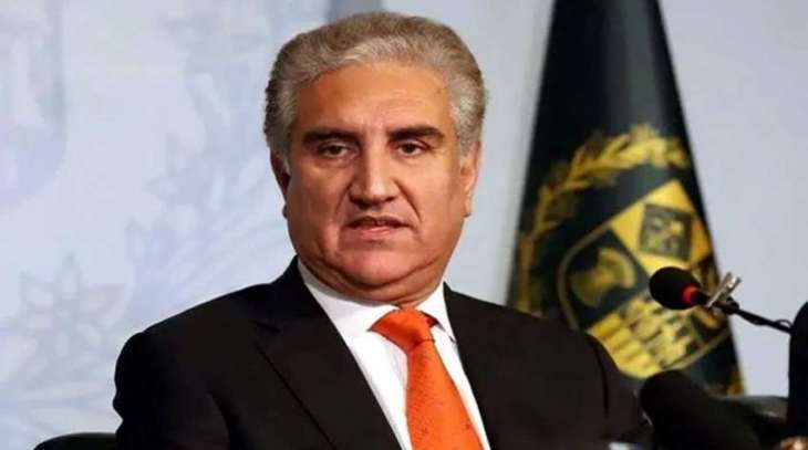 Several Chinese companies want to make investment in Pakistan: Qureshi
