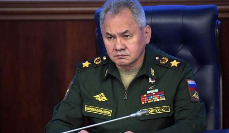 Wallace, Shoigu Agree on Importance of Minsk Agreements