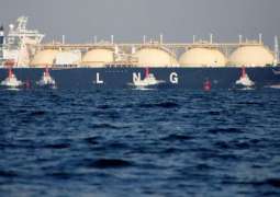 US Increasing LNG Exports to EU With Support From Federal Government - Industry Group