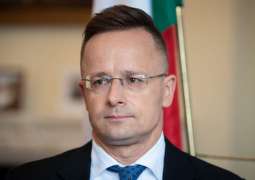 Hungarian Foreign Minister Accuses Kiev of Trying to Influence Parliamentary Elections