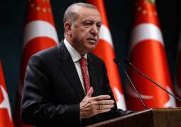 Turkey Favors Becoming Guarantor of Ukraine's Security - Erdogan