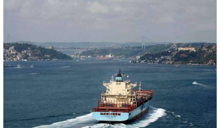 Bulgarian Navy to Check Reports on Stray Mine Spotted in Black Sea - Defense Ministry
