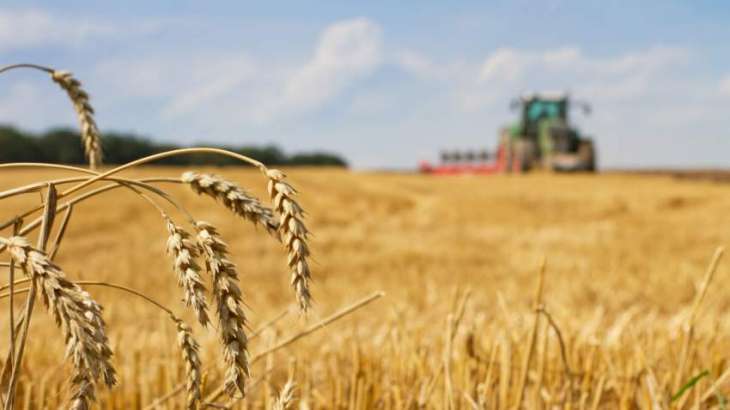 German Farmers Report Sharp Increase in Wheat, Food Prices