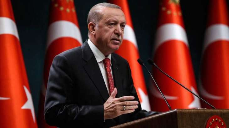 Turkey Favors Becoming Guarantor of Ukraine's Security - Erdogan