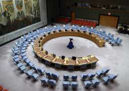 UK Envoy Promises Not to Refuse Holding Requested UN Security Council Meetings