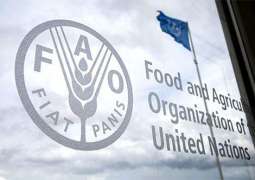 UN Says Food Price Index Reaches New High in March Largely Due to Disruptions From Ukraine