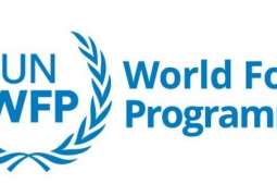 Food Crisis Caused by Ukrainian Conflict May Cost World $8-9Bln - UN WFP