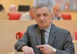 Georgia to Investigate Planned Provocation During Lawmakers' Visit to Kiev