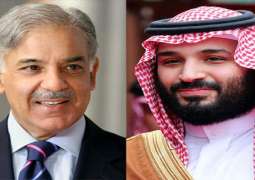 Pakistan, Saudi Arabia agree to further diversify bilateral ties in all spheres