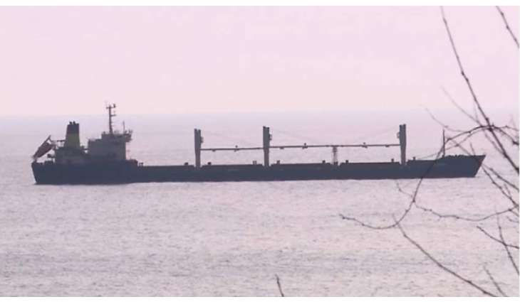 Evacuation Underway From Bulgarian Bulk Carrier Stranded in Ukraine's Mariupol - Reports