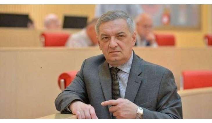 Georgia to Investigate Planned Provocation During Lawmakers' Visit to Kiev