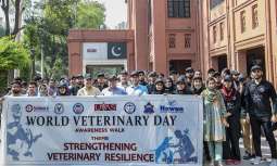 World Veterinary Day observed at UVAS