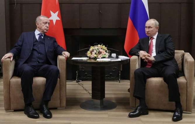 Putin Assesses Moscow-Kiev Talks During Conversation With Erdogan - Kremlin