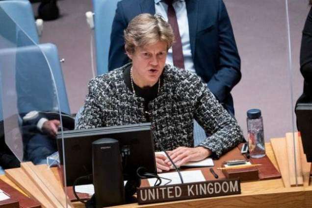 No Provisions Exist to Suspend Russia From UN Security Council - UK Envoy