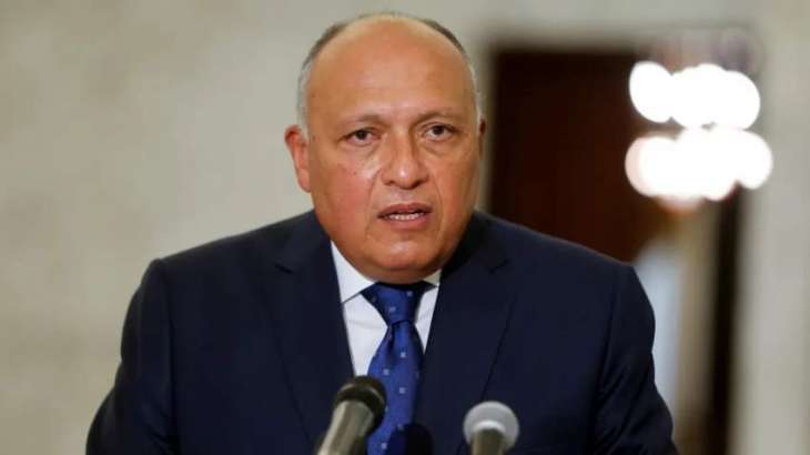 Arab League Countries Ready to Assist Russia-Ukraine Talks - Egyptian Foreign Minister