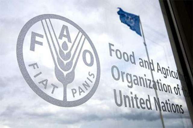 UN Says Food Price Index Reaches New High in March Largely Due to Disruptions From Ukraine