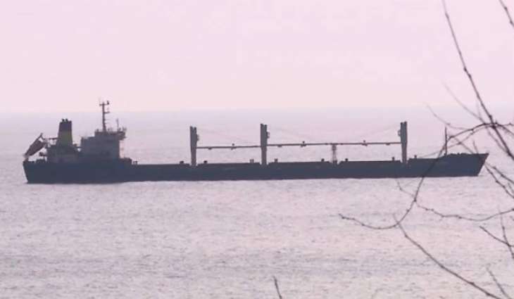 Evacuation Underway From Bulgarian Bulk Carrier Stranded in Ukraine's Mariupol - Reports