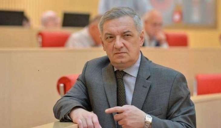 Georgia to Investigate Planned Provocation During Lawmakers' Visit to Kiev
