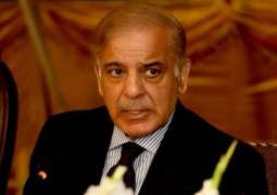 Politics of sit-ins detrimental to country's progress: PM