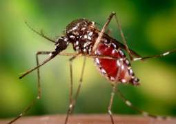 Philippines Registers 282% Increase in Dengue Fever Cases on Negros Island - Reports