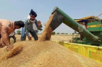 Think Tank Says Unlikely Any Country Can Offset Wheat Export Losses After India's Ban