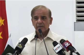 'I get goosebumps when PTI's 2014 sit-in comes to mind: Shehbaz Sharif