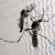 Efforts expedited to control dengue spread: Deputy Commissioner 