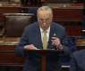 US Senate Republicans Block Advancement of House-Passed Domestic Terrorism Bill
