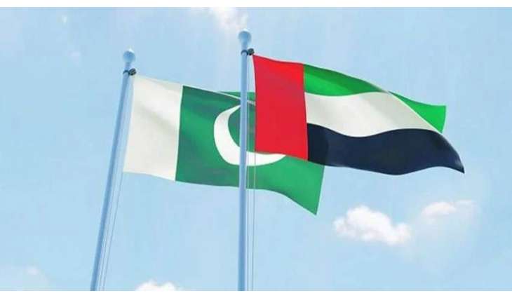 باکستان تعلن الحداد وتنکیس الأعلام ثلاثة أیام علی وفاة رئیس دولة الامارات