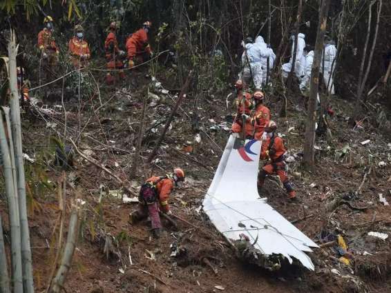 US Investigators Deny Disclosing Findings About Boeing 737 Crash to Media - Reports