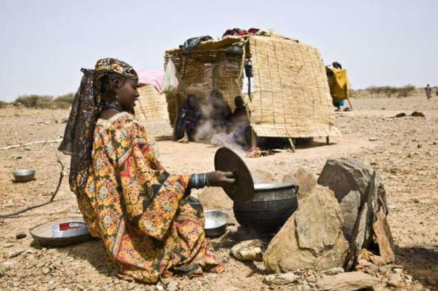 Severe Hunger Threatens 18Mln People in Sahel During Summer - OCHA