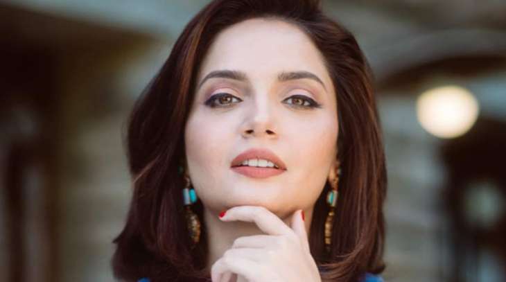 Armeena Khan raises voice for Indian actor Hina Khan