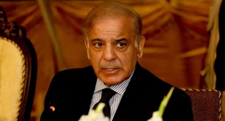 Politics of sit-ins detrimental to country's progress: PM