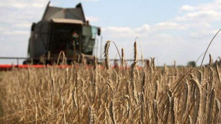 Russia May Establish Separate Grain Market for Deliveries to Countries in Need - Union
