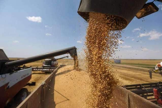 Russia to Produce Almost Record Levels of Grain in 2022 - Agriculture Minister