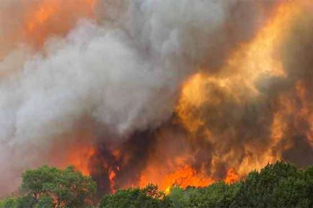 Pak-China Meeting on Cooperation to manage Forest Fire hazard
