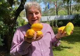 Austrian Ambassador Nicolaus Keller loves Pakistan's mango season