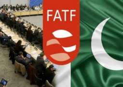 Pakistan to exit FATF grey list after 'on-site visit'