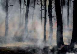 KP CM Mahmood Khan states that starting a forest fire should become a non-bailable offense
