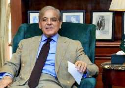 Prime Minister Shehbaz Sharif sets up a committee to render the ‘Toshakhana’ policy